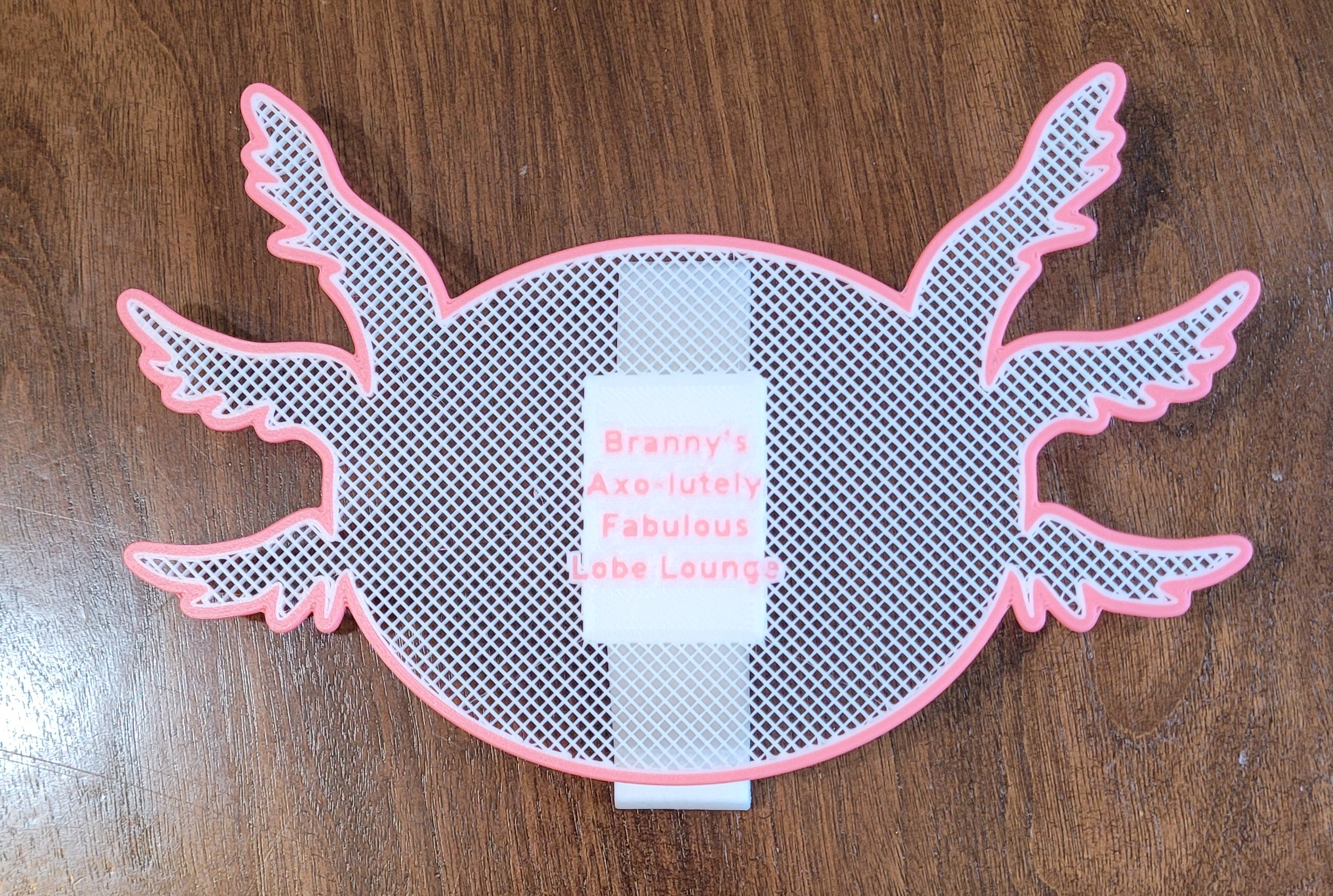 Axolotl style earring and pin holder
